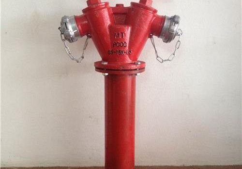 Trụ chữa cháy D100 có 2 cửa ra D65 (có thân)